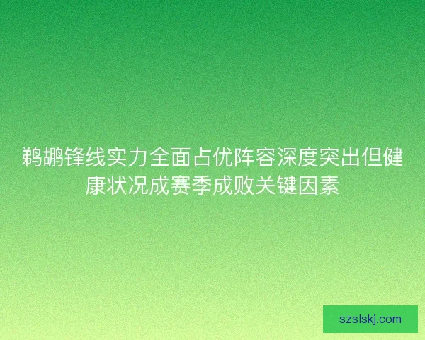 鹈鹕锋线实力全面占优阵容深度突出但健康状况成赛季成败关键因素